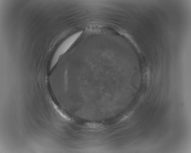 X0000082170633200702021727