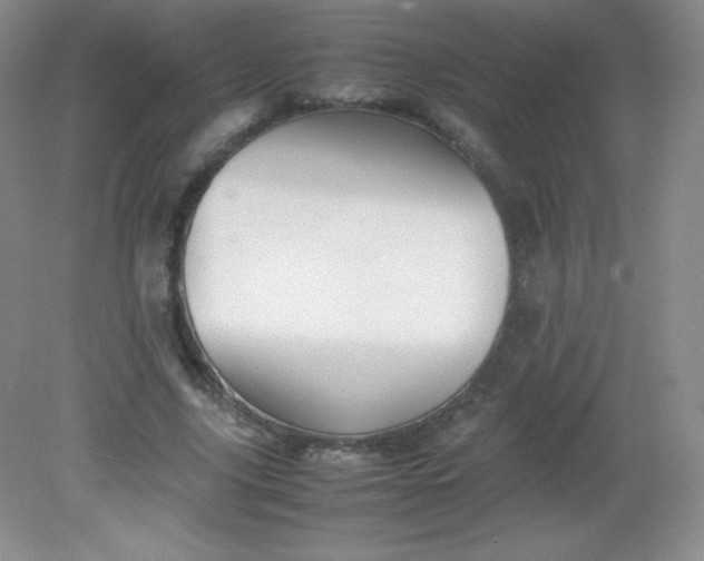 X0000082170635200702021727