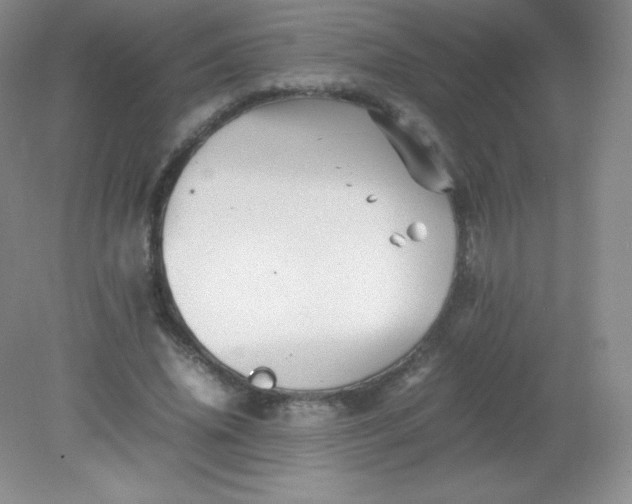 X0000082170636200702021727