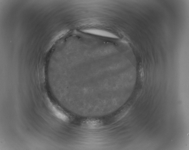 X0000082170638200702021727