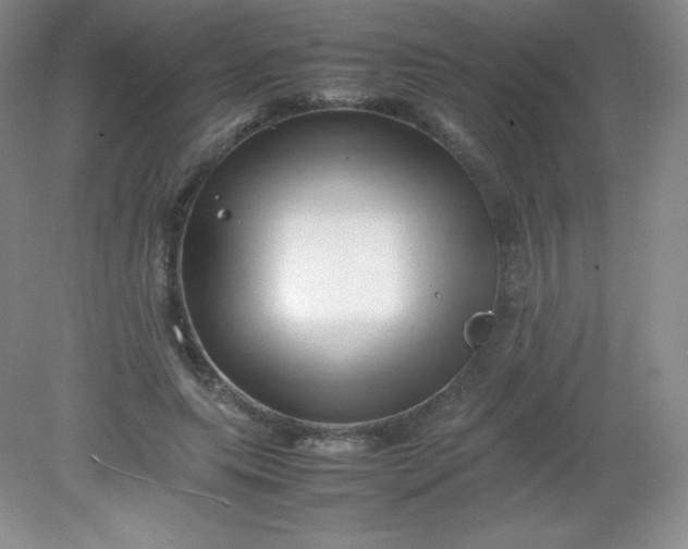 X0000082170639200702021727