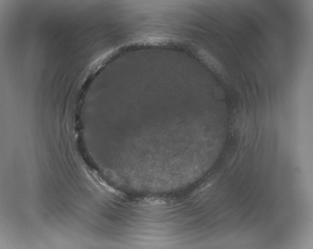 X0000082170640200702021727