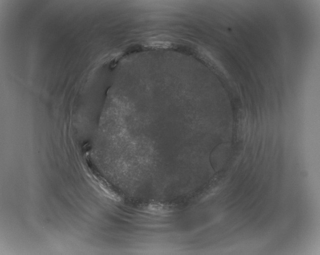 X0000082170641200702021727