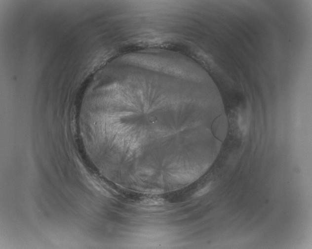 X0000082170642200702021728