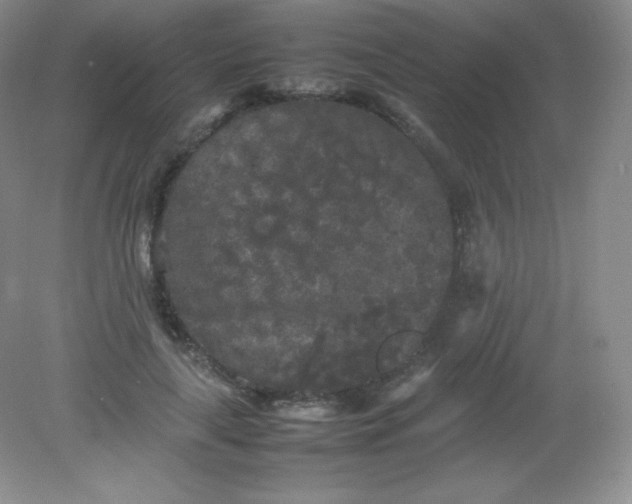 X0000082170643200702021728