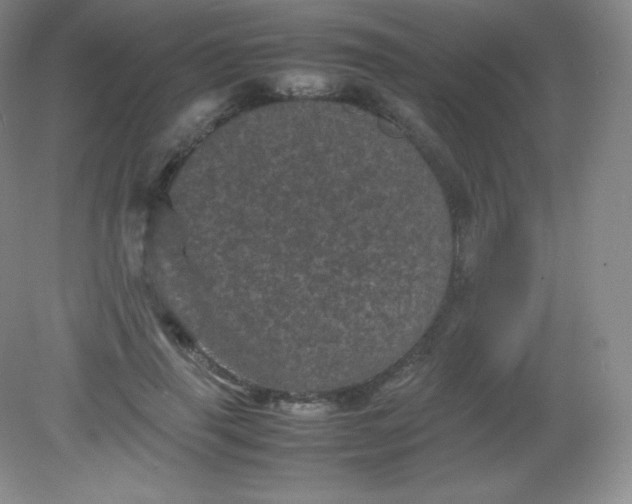 X0000082170645200702021728