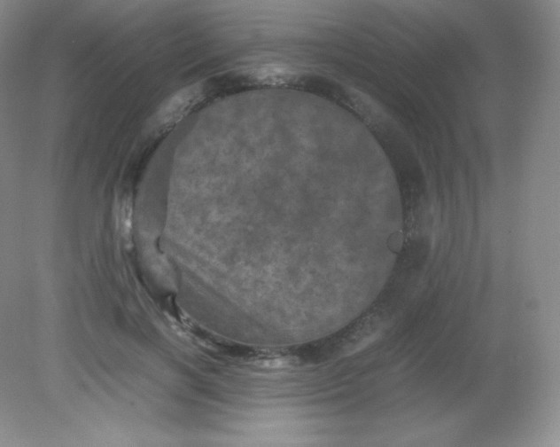 X0000082170646200702021728