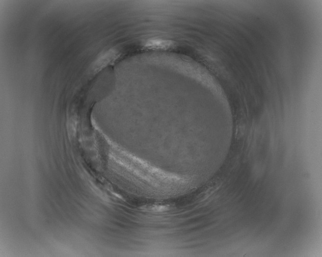 X0000082170647200702021728