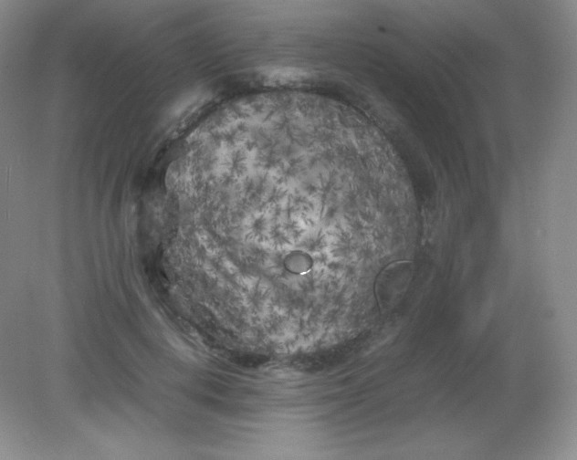 X0000082170648200702021728