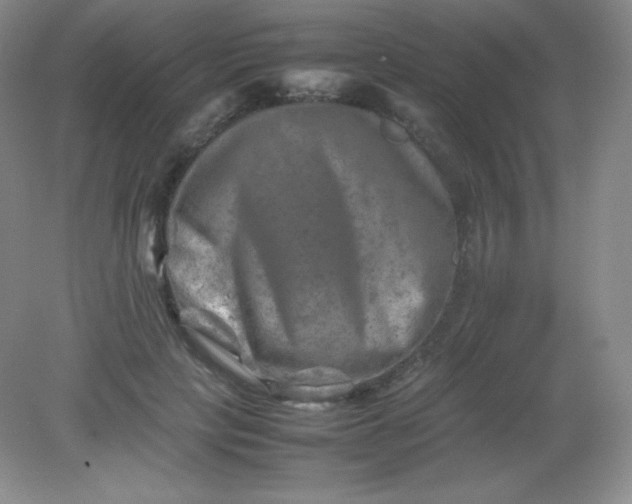 X0000082170649200702021728