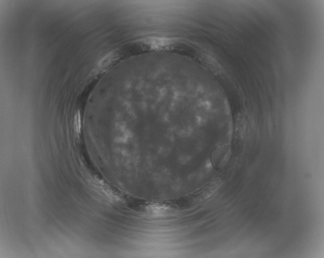 X0000082170650200702021728