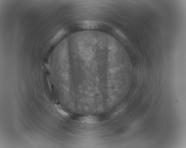 X0000082170652200702021728