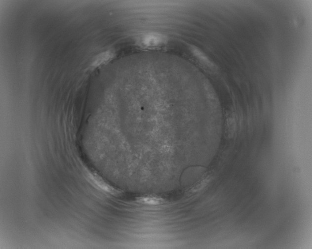 X0000082170654200702021728