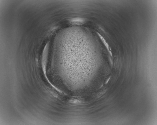 X0000082170655200702021728