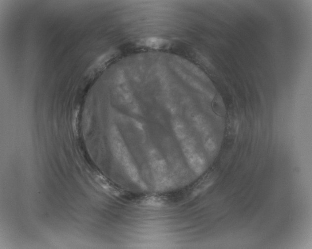 X0000082170656200702021728