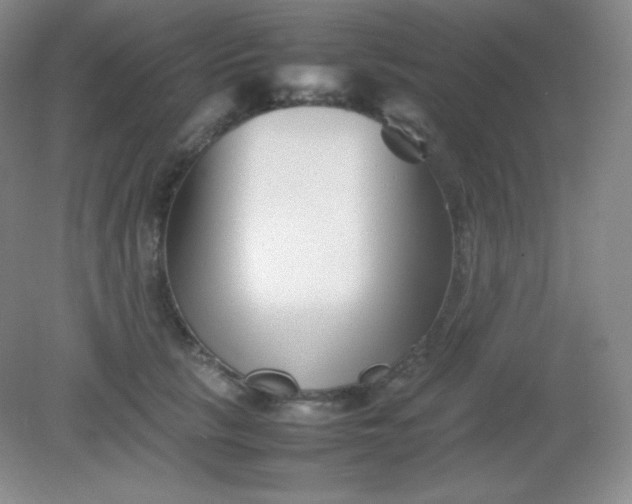 X0000082170657200702021728