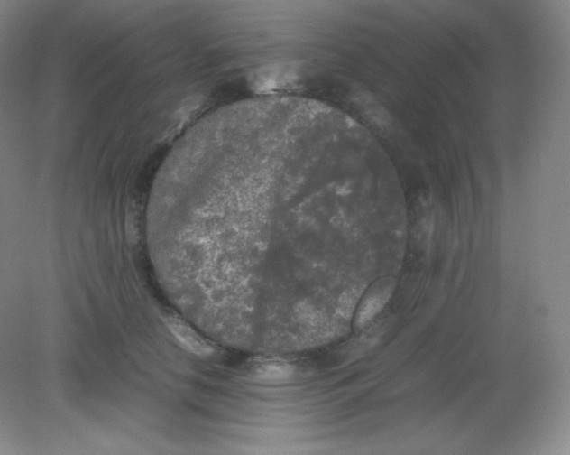 X0000082170658200702021728