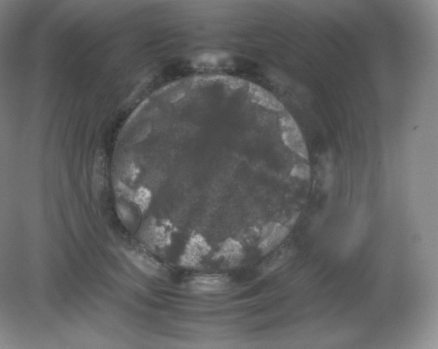 X0000082170659200702021728