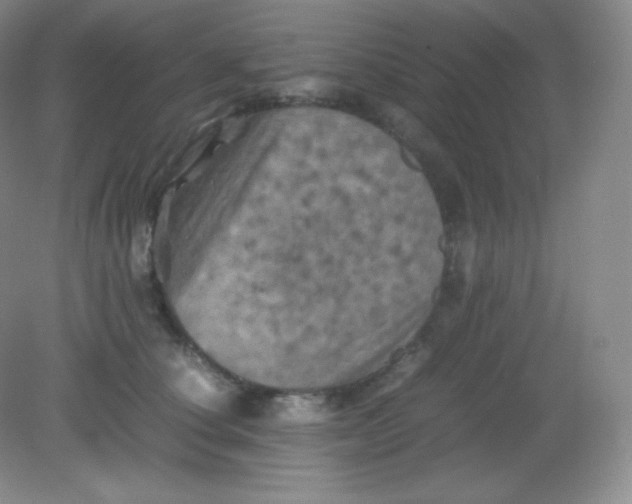 X0000082170660200702021728