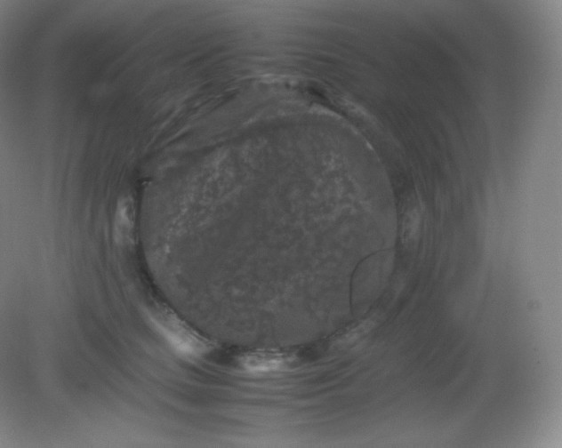 X0000082170661200702021728