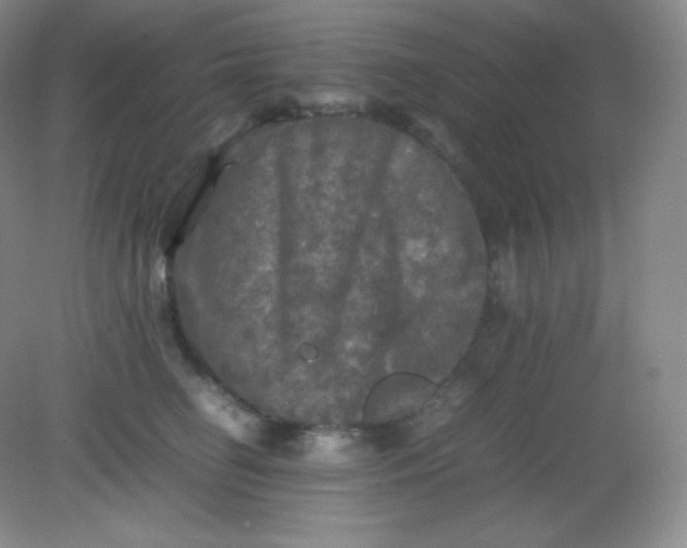 X0000082170662200702021728