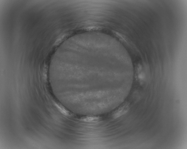 X0000082170664200702021728