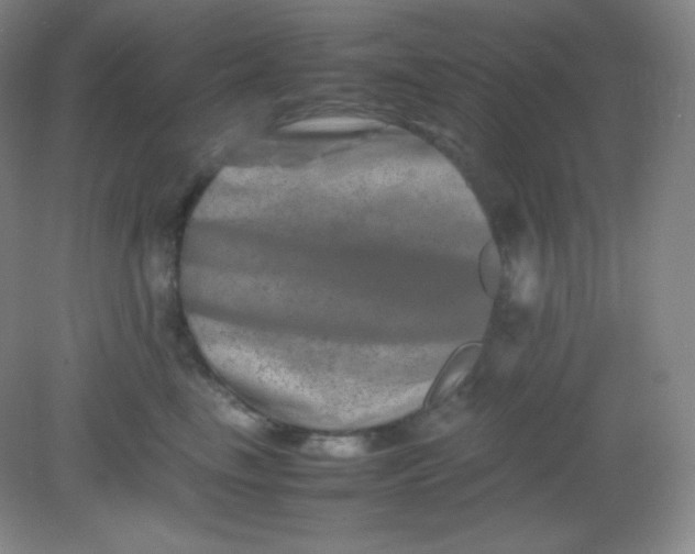 X0000082170665200702021728