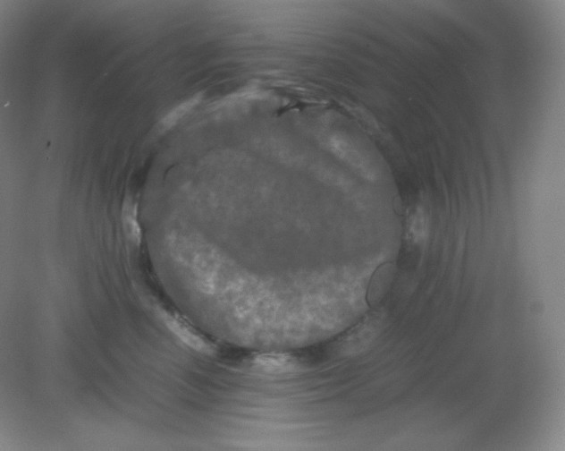 X0000082170666200702021728