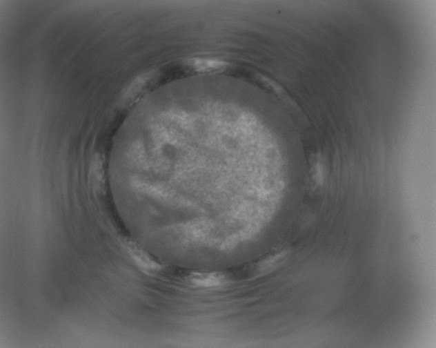 X0000082170667200702021728