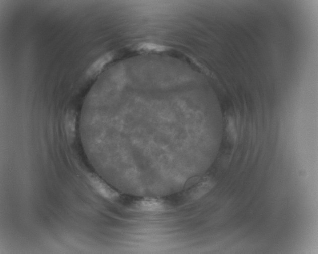 X0000082170668200702021728