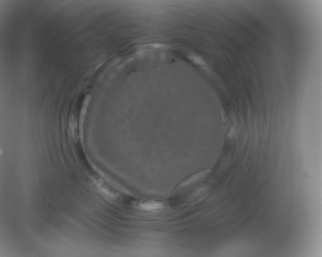 X0000082170669200702021728