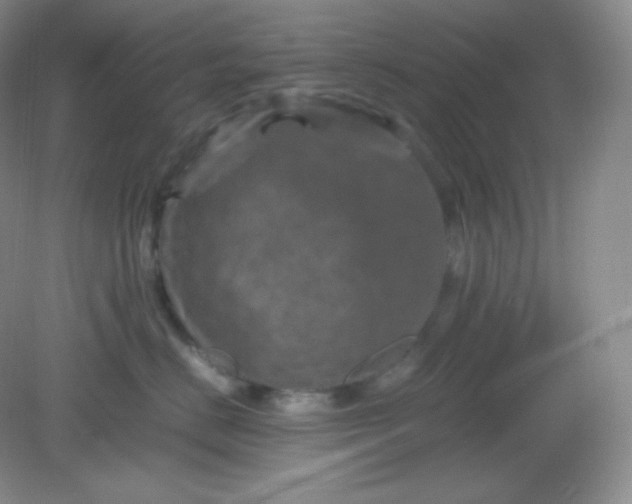 X0000082170670200702021728