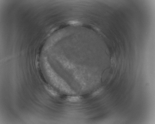 X0000082170671200702021728