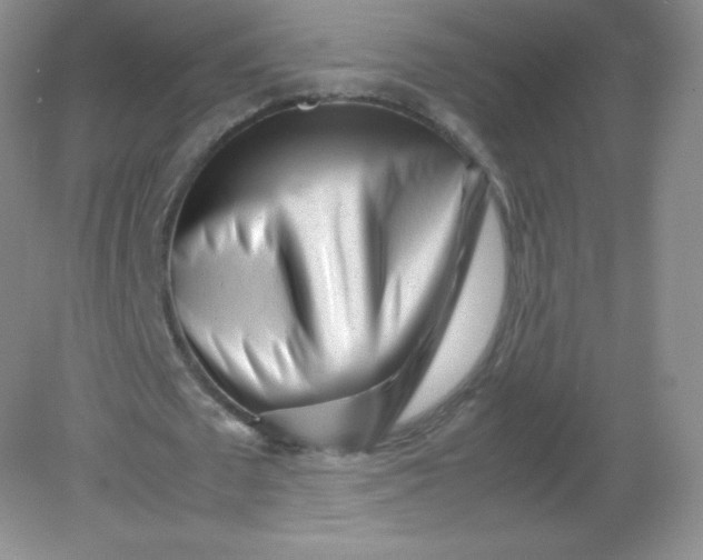 X0000082170673200702021727