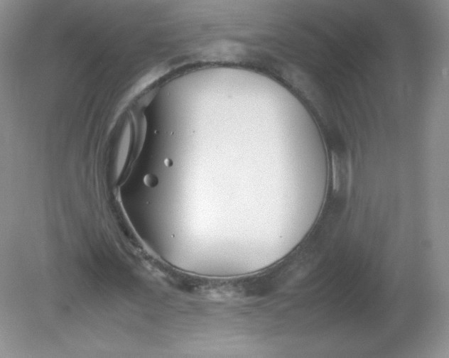 X0000082170675200702021727