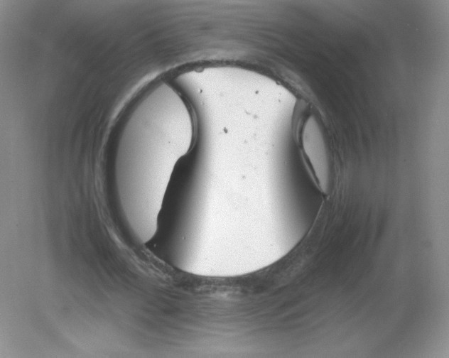 X0000082170676200702021727