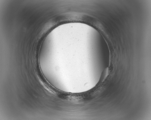 X0000082170677200702021727