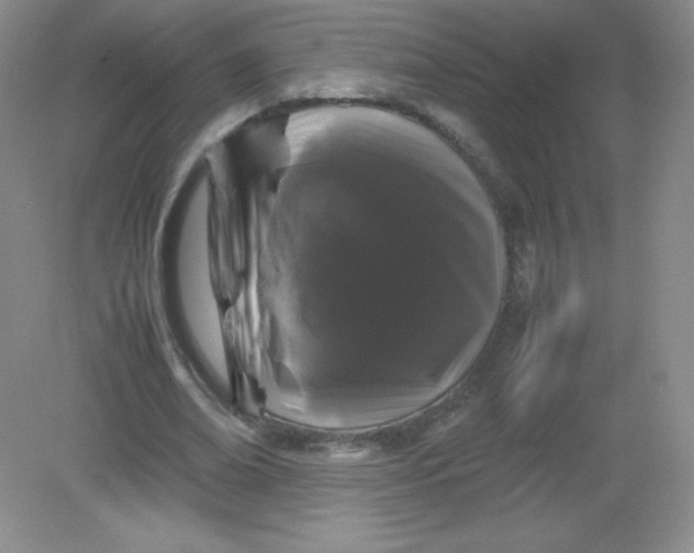 X0000082170678200702021727