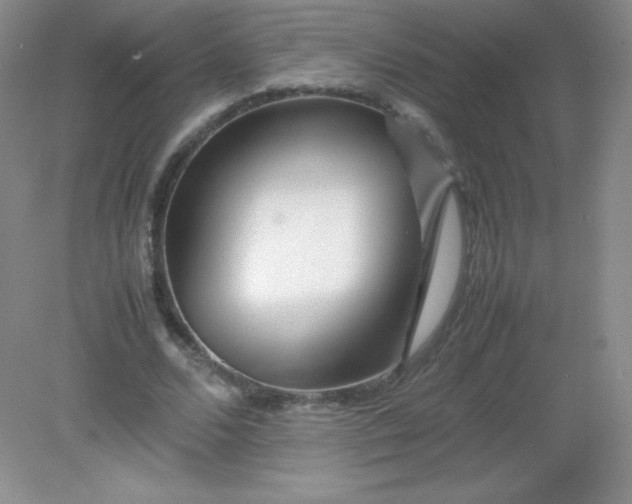 X0000082170680200702021727