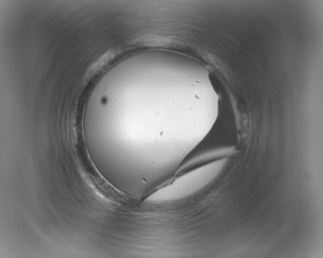 X0000082170682200702021727