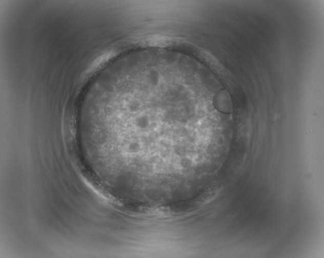 X0000082170683200702021727