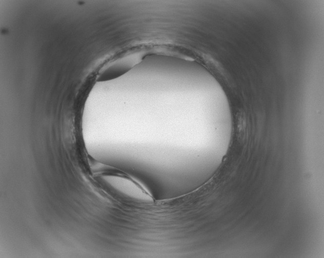 X0000082170684200702021727