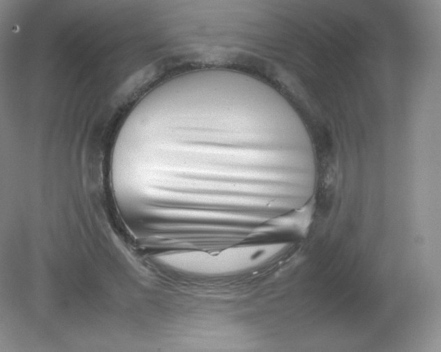 X0000082170685200702021727