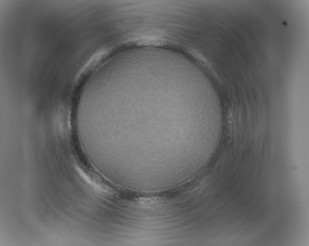 X0000082170686200702021727