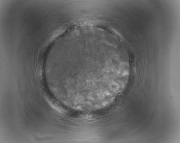 X0000082170687200702021727