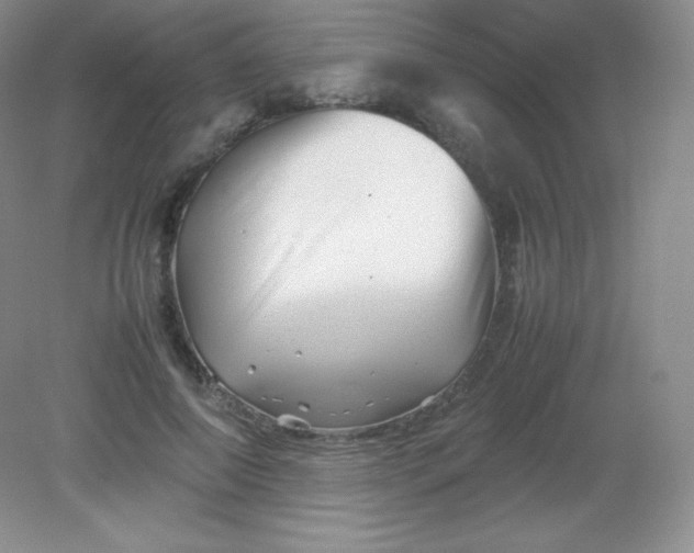 X0000082170690200702021727