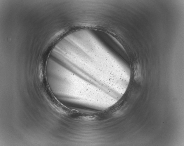 X0000082170692200702021727