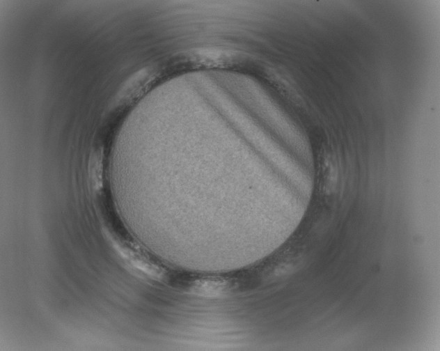 X0000082170694200702021727