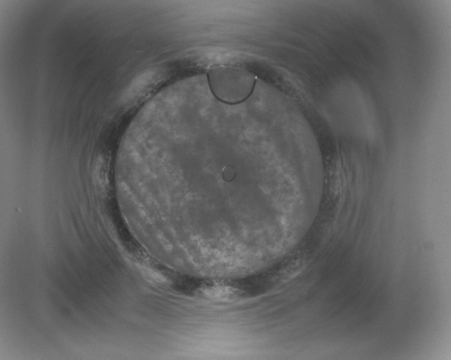 X0000082170695200702021727