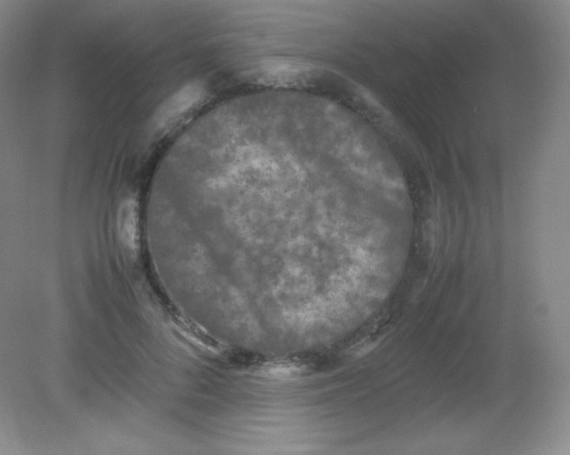 X0000082170696200702021727